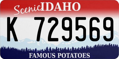 ID license plate K729569
