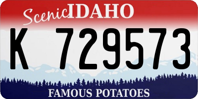 ID license plate K729573