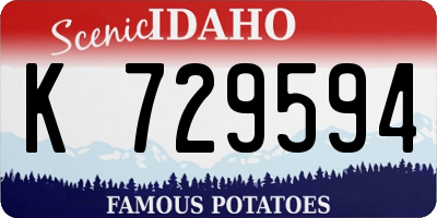 ID license plate K729594