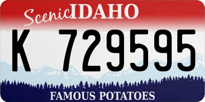 ID license plate K729595
