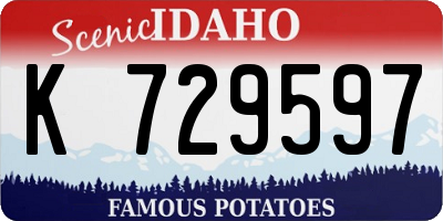 ID license plate K729597