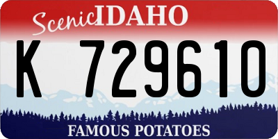 ID license plate K729610