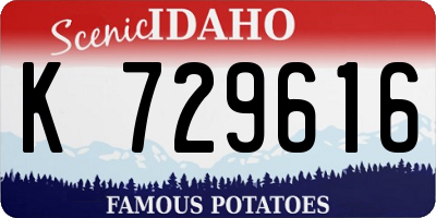 ID license plate K729616