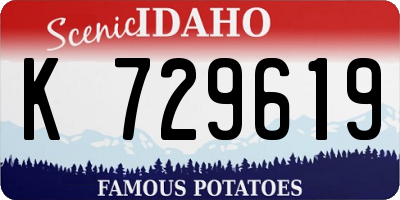 ID license plate K729619