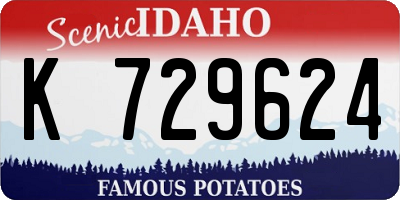 ID license plate K729624