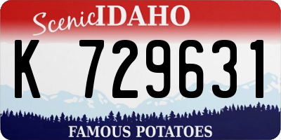 ID license plate K729631