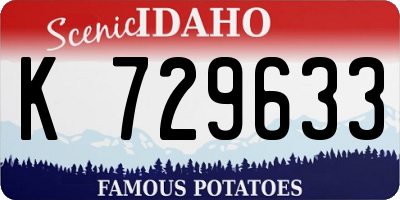 ID license plate K729633