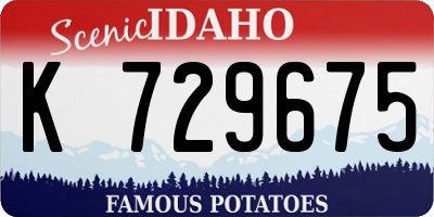 ID license plate K729675