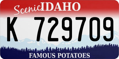 ID license plate K729709
