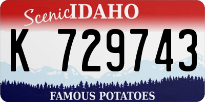 ID license plate K729743