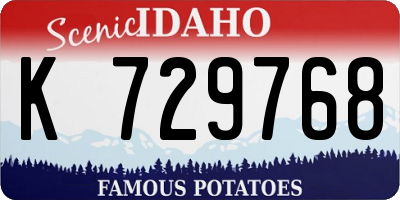 ID license plate K729768