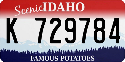 ID license plate K729784