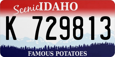 ID license plate K729813