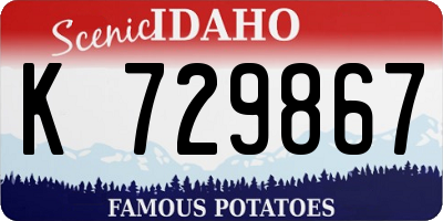 ID license plate K729867