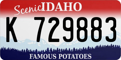 ID license plate K729883
