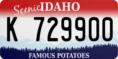 ID license plate K729900