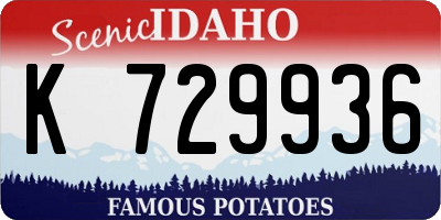 ID license plate K729936