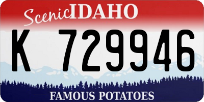 ID license plate K729946