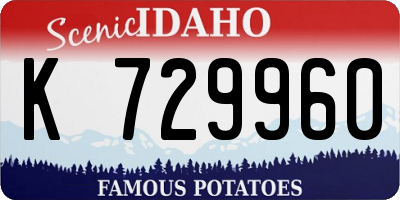 ID license plate K729960