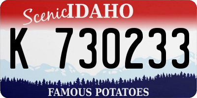 ID license plate K730233