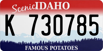 ID license plate K730785