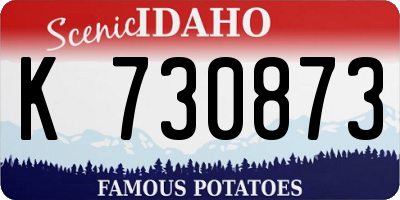 ID license plate K730873