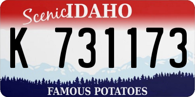 ID license plate K731173
