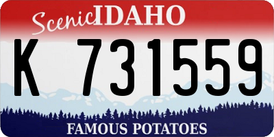 ID license plate K731559
