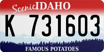 ID license plate K731603
