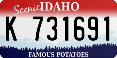 ID license plate K731691