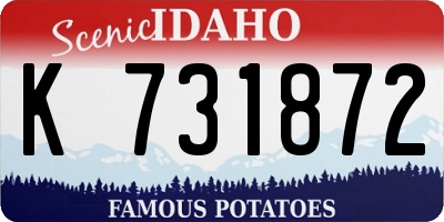 ID license plate K731872