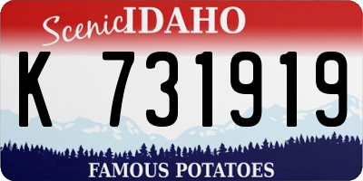 ID license plate K731919