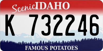 ID license plate K732246