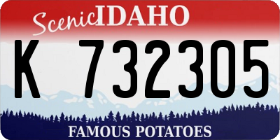 ID license plate K732305