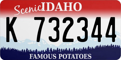 ID license plate K732344