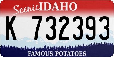 ID license plate K732393