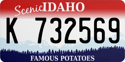 ID license plate K732569