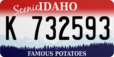 ID license plate K732593