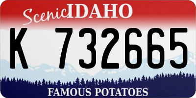 ID license plate K732665