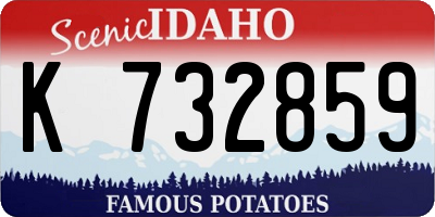ID license plate K732859