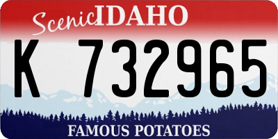 ID license plate K732965