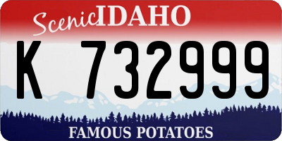 ID license plate K732999