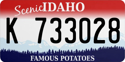ID license plate K733028