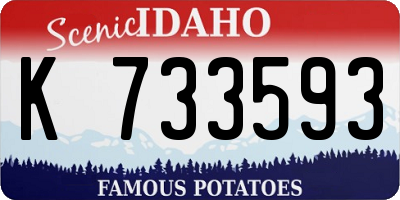 ID license plate K733593