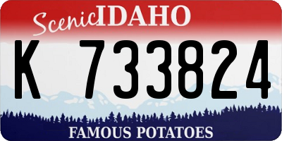 ID license plate K733824