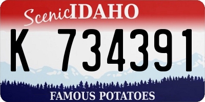 ID license plate K734391