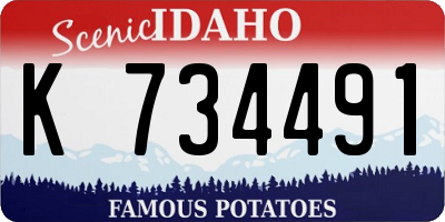 ID license plate K734491