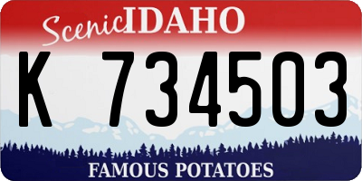 ID license plate K734503