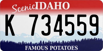 ID license plate K734559
