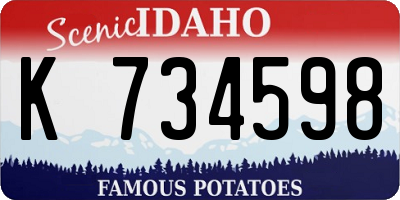 ID license plate K734598